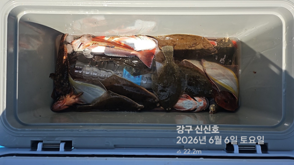 신신낚시 강구점 신신호_사진_20260606_20.jpg