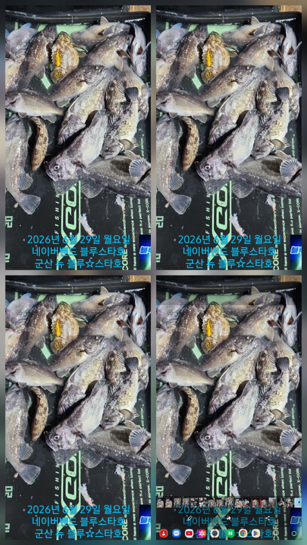1000049925.jpg