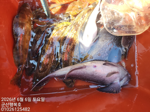군산행복호_사진_20260606_13.jpg
