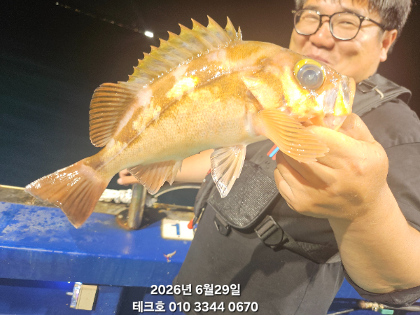 KakaoTalk_20260630_020551849_03.jpg
