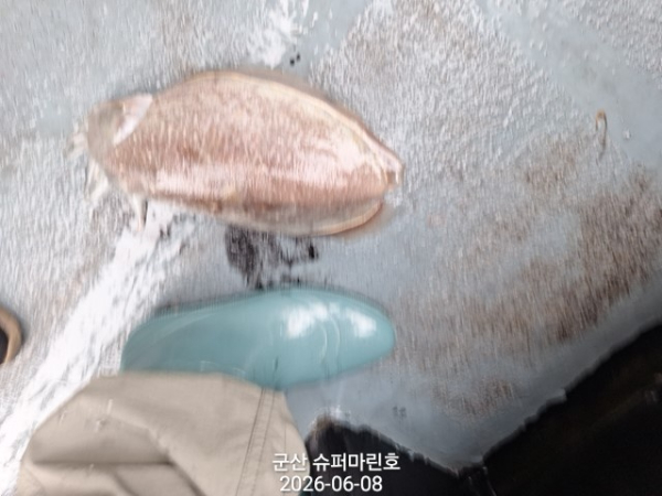 1000045981.jpg