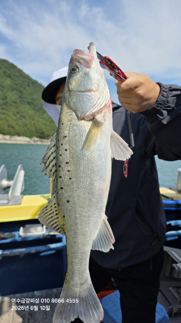 여수금강피싱_사진_20260610_19.jpg