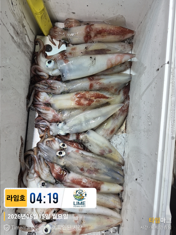 KakaoTalk_20260616_065443814_01.jpg