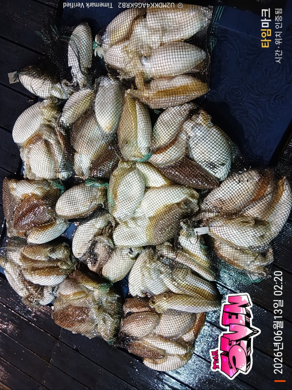 2_fffUd018svc11eiva54xe973_82sd02.jpg