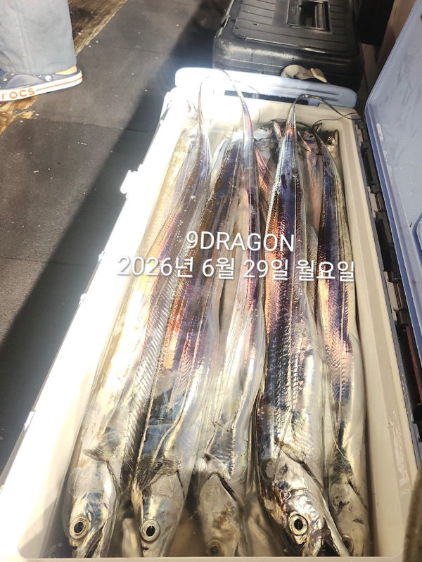F2BDEA15-8BFA-4638-9768-9A9F9A9AE941.jpeg