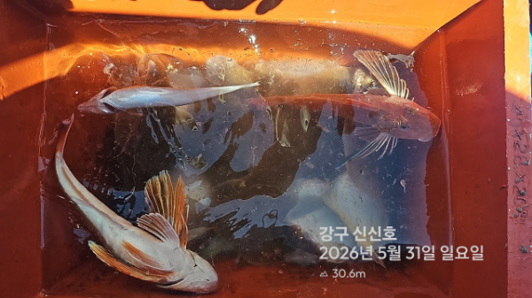 신신낚시 강구점 신신호_사진_20260531_20.jpg