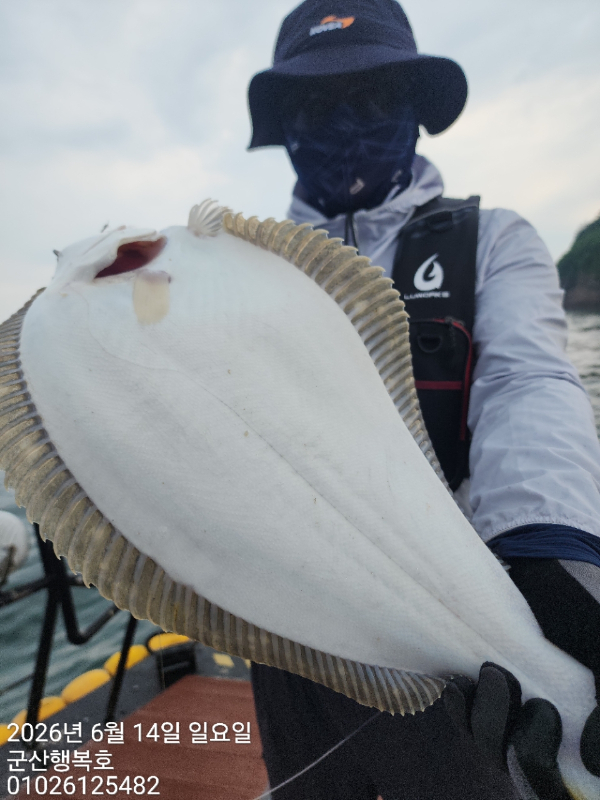 군산행복호_사진_20260614_2.jpg