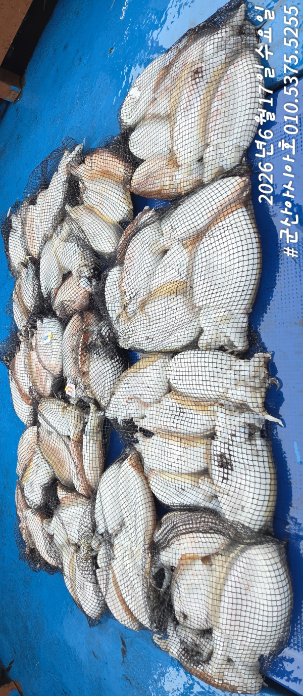 1781677545191.jpg