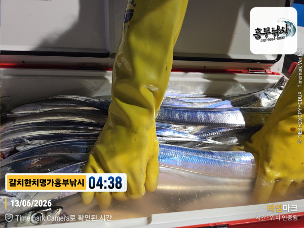 2026-06-13 04.38.07__(제목-갈치한치명가흥부낚시).jpg