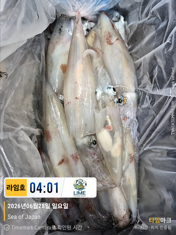 KakaoTalk_20260628_134018523_16.jpg
