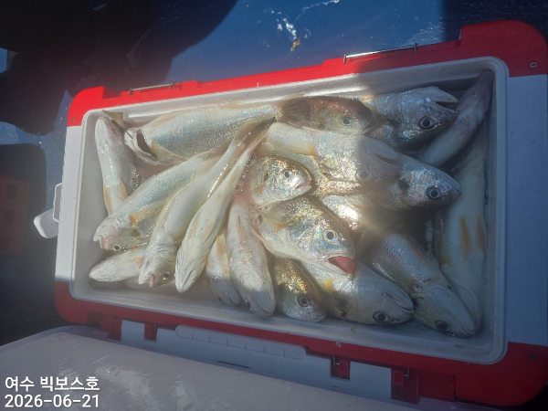 87A929CB-2CA6-421D-9FC3-D2CCCBCFEB1E.jpeg