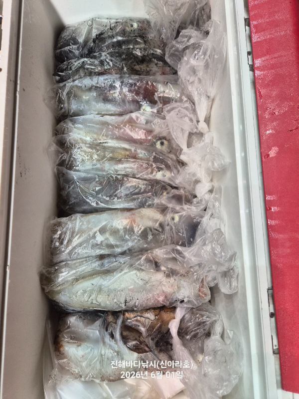 바다꾼낚시(신아라호)_사진_20260601_14.jpg