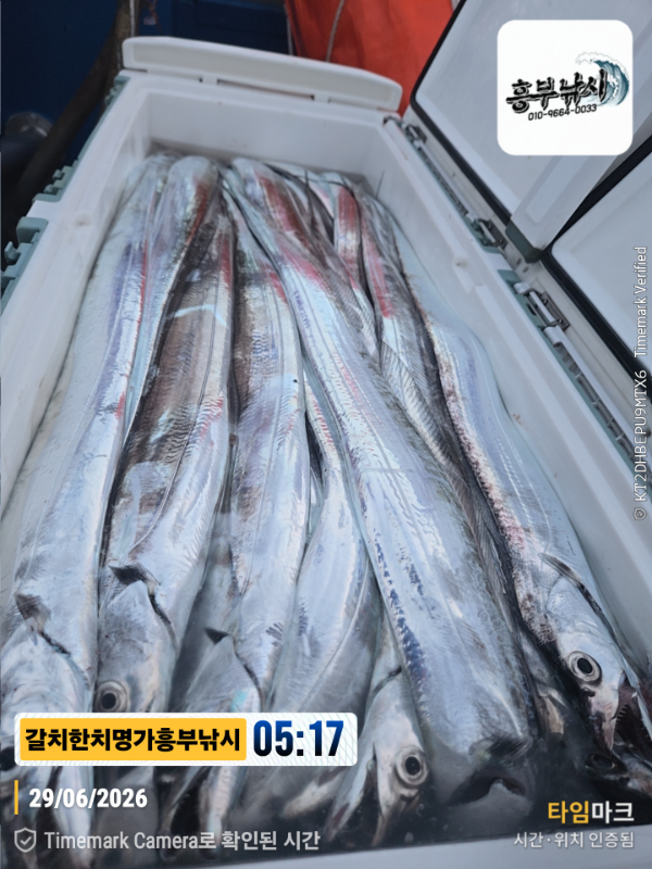 2026-06-29 05.17.34__(제목-갈치한치명가흥부낚시).jpg