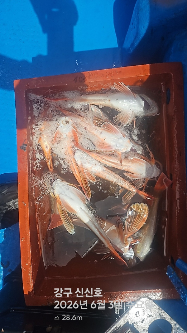 신신낚시 강구점 신신호_사진_20260603_11.jpg