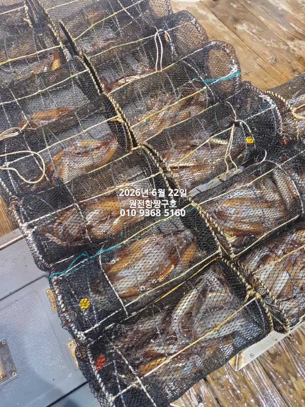 KakaoTalk_20260622_052359234.jpg