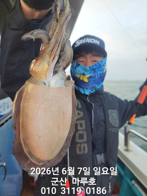 KakaoTalk_20260607_074222039.jpg