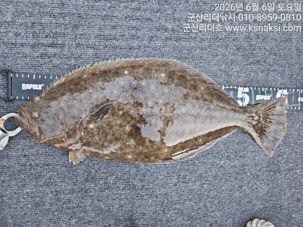1780729305710.jpg