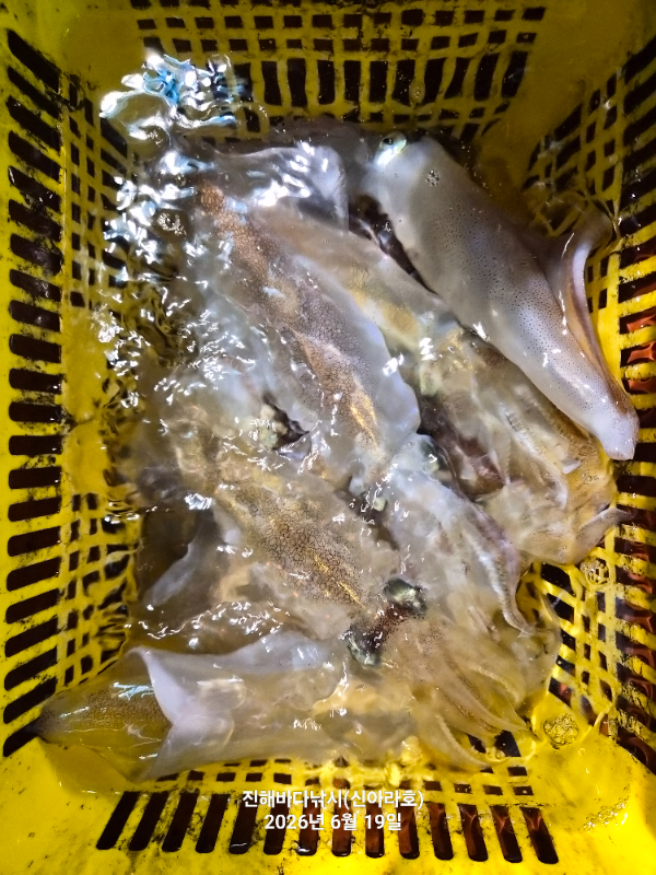 KakaoTalk_20260624_194726348_01.jpg