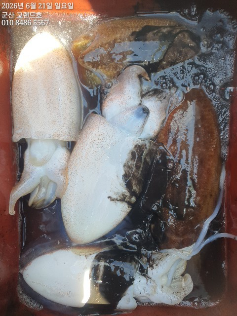 1000030902.jpg
