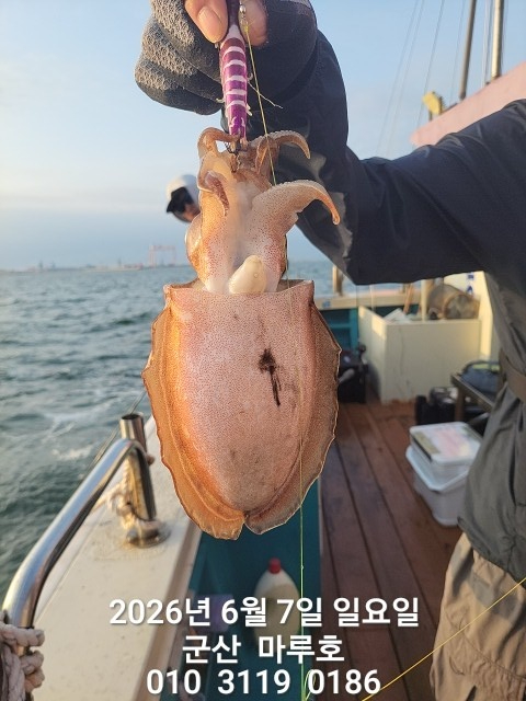 KakaoTalk_20260607_074224069.jpg