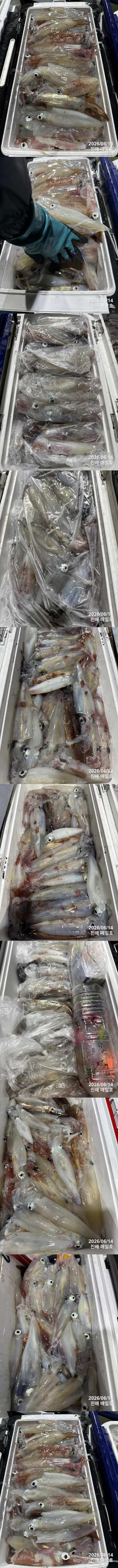 왕한치2.jpg