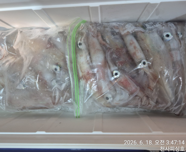 1004피싱_사진_20260618_15.jpg