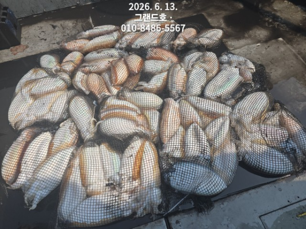 1000030537.jpg