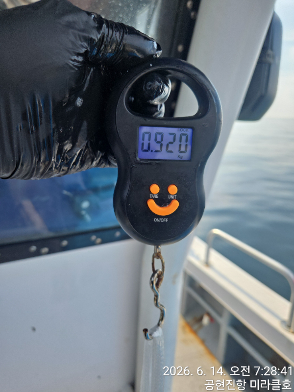 1000045074.jpg