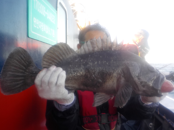 1000014570.jpg