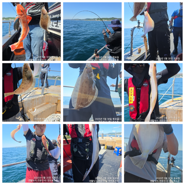 PhotoCollage_1780294658778.jpg