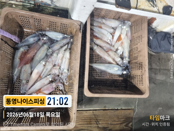 2026-06-18 21.02.06__(제목-통영나이스피싱).jpg