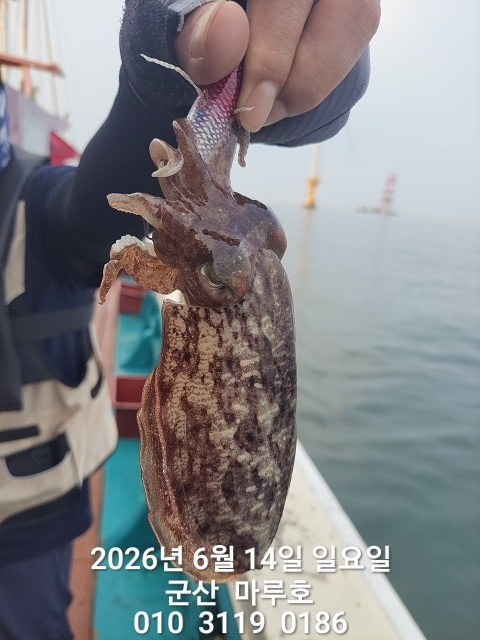 KakaoTalk_20260614_063115571.jpg