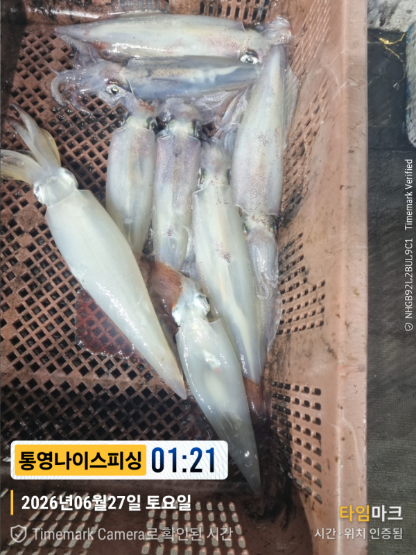 2026-06-27 01.21.40__(제목-통영나이스피싱).jpg