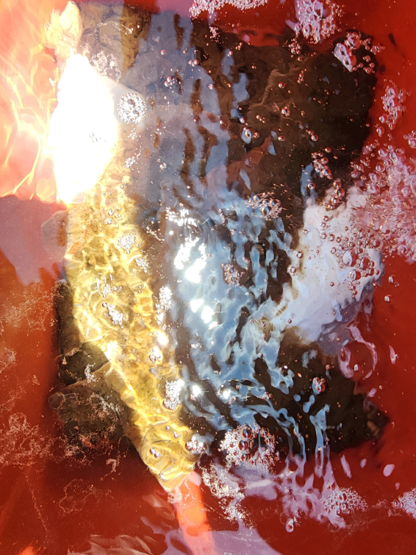 20260606_113726.jpg