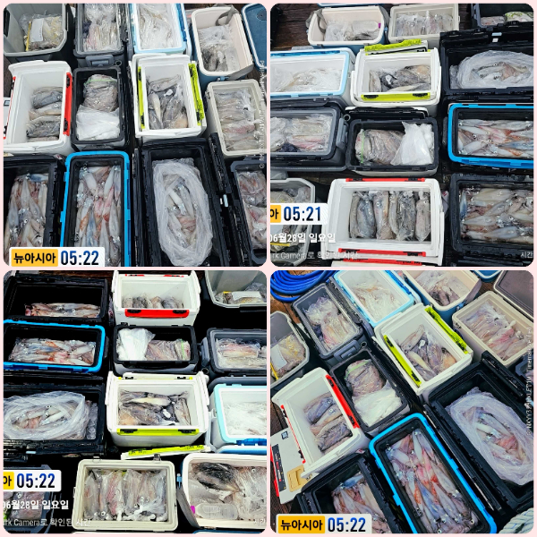 KakaoTalk_20260628_055246670_04-tile.jpg