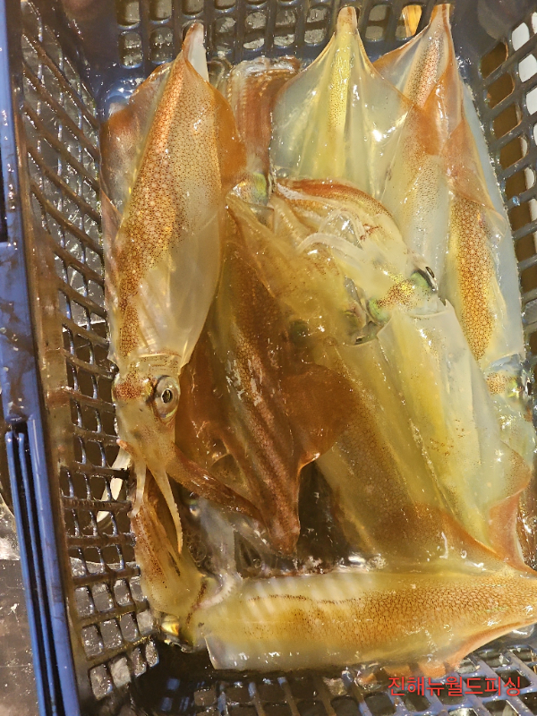 1780260345142.jpg