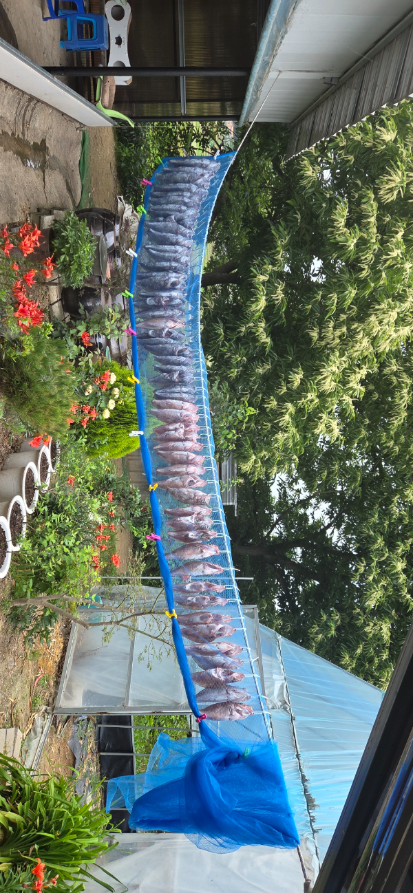 1000013185.jpg
