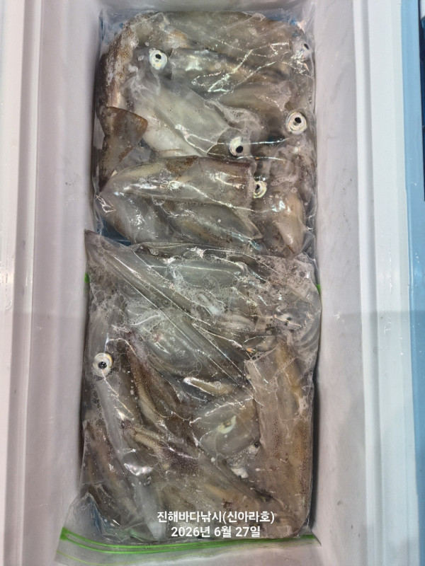 신아라호 한치 칼치 오징어_사진_20260627_8.jpg