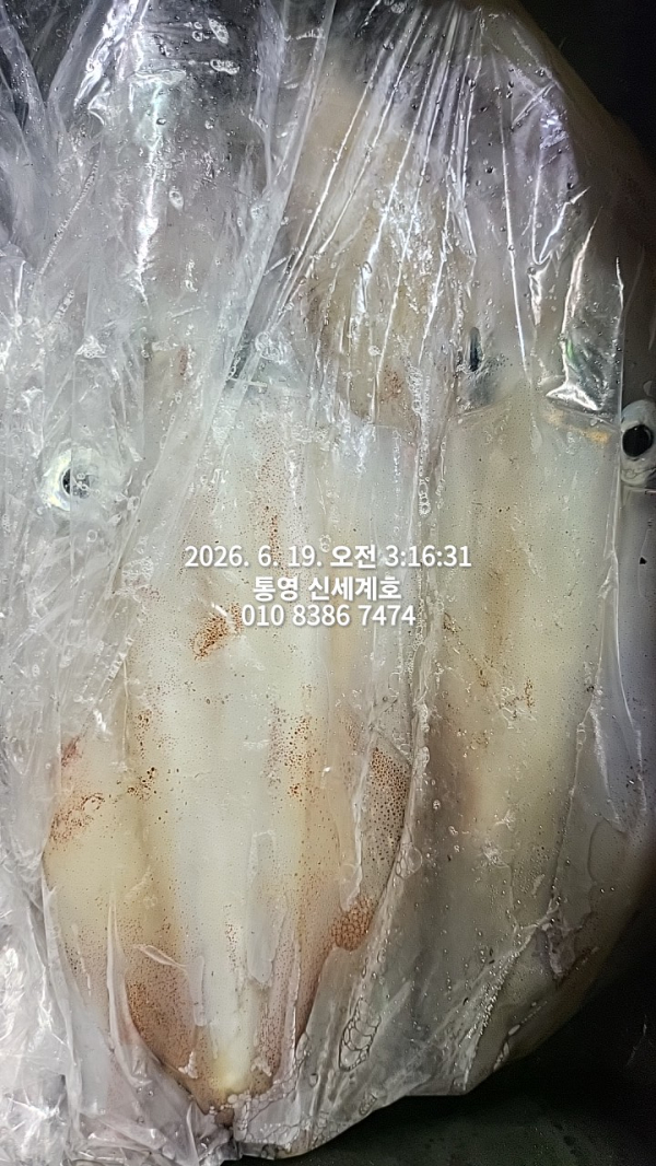 1781913458908.jpg