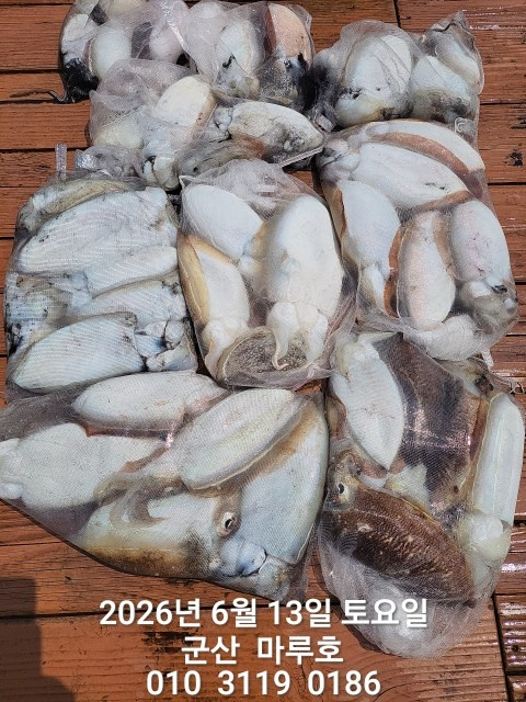 KakaoTalk_20260613_140405405.jpg