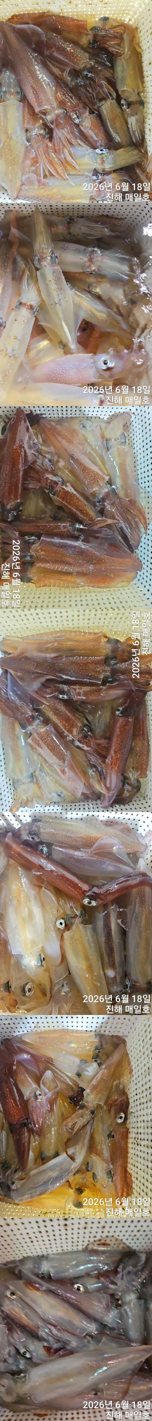 왕한치2.jpg