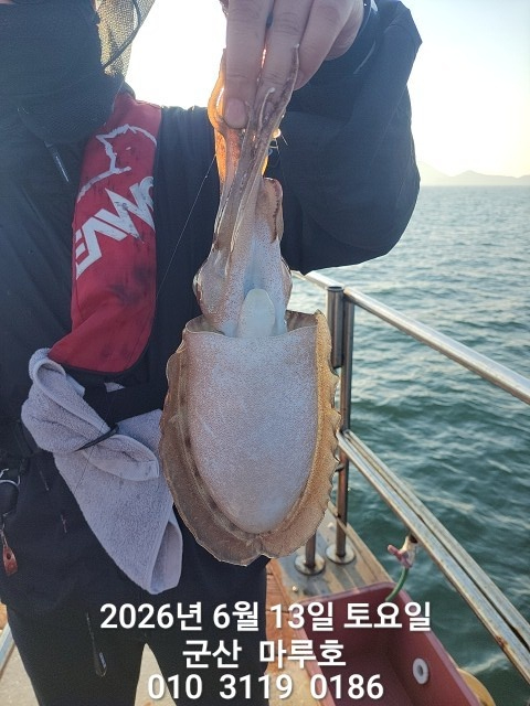 KakaoTalk_20260613_070404553.jpg