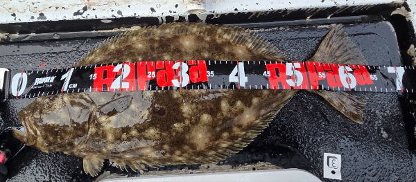 18600.jpg