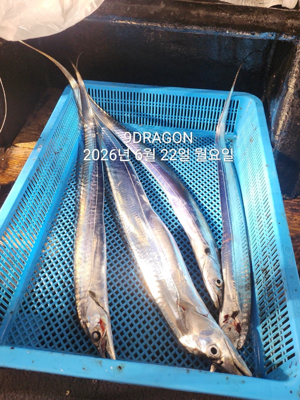 D541409D-4E60-4DB6-8967-893FFE729769.jpeg