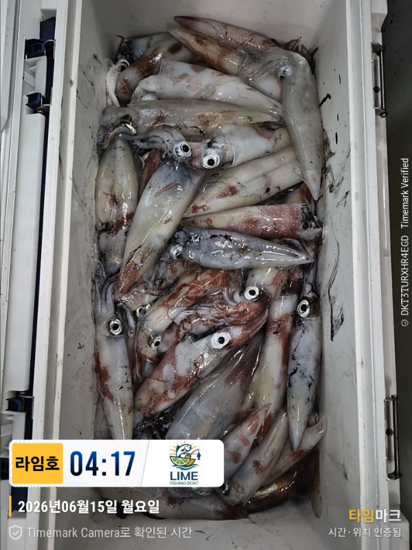 KakaoTalk_20260616_065443814_24.jpg