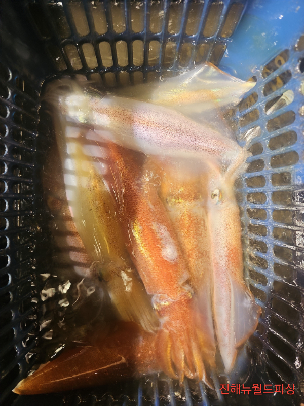 1780260345197.jpg