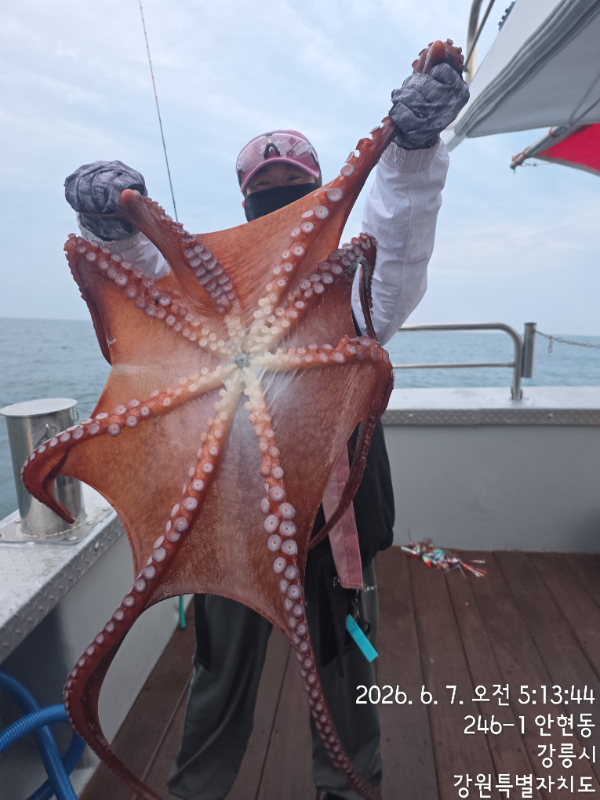 KakaoTalk_20260607_144323674_29.jpg