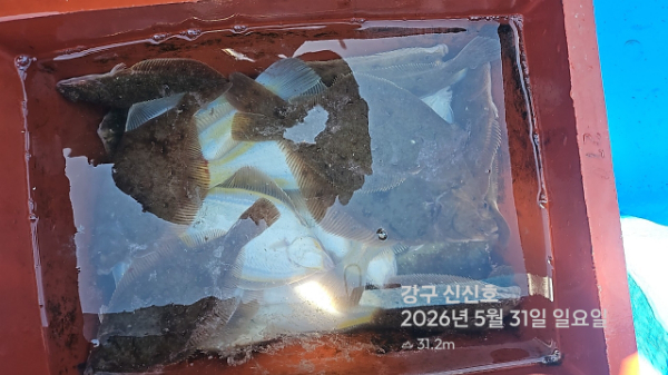 신신낚시 강구점 신신호_사진_20260531_12.jpg