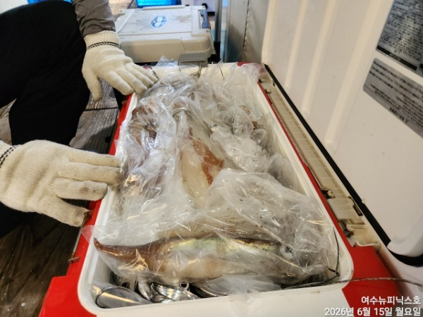 6월15일갈치한치 (7).jpg