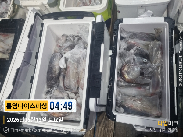 2026-06-13 04.49.45__(제목-통영나이스피싱).jpg